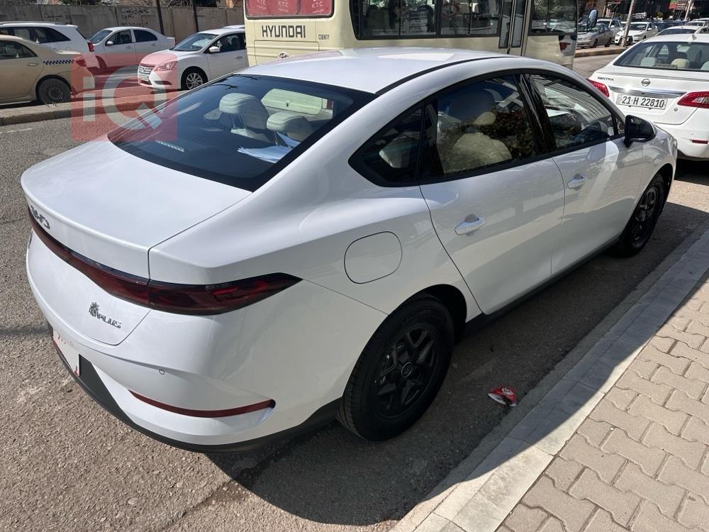 بي واي دي Qin Plus